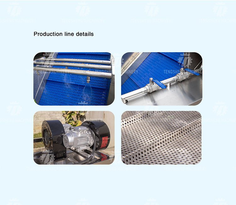 Vegetables and Fruits Bubble Cleaning Vibration Air Drying Machine Production Line