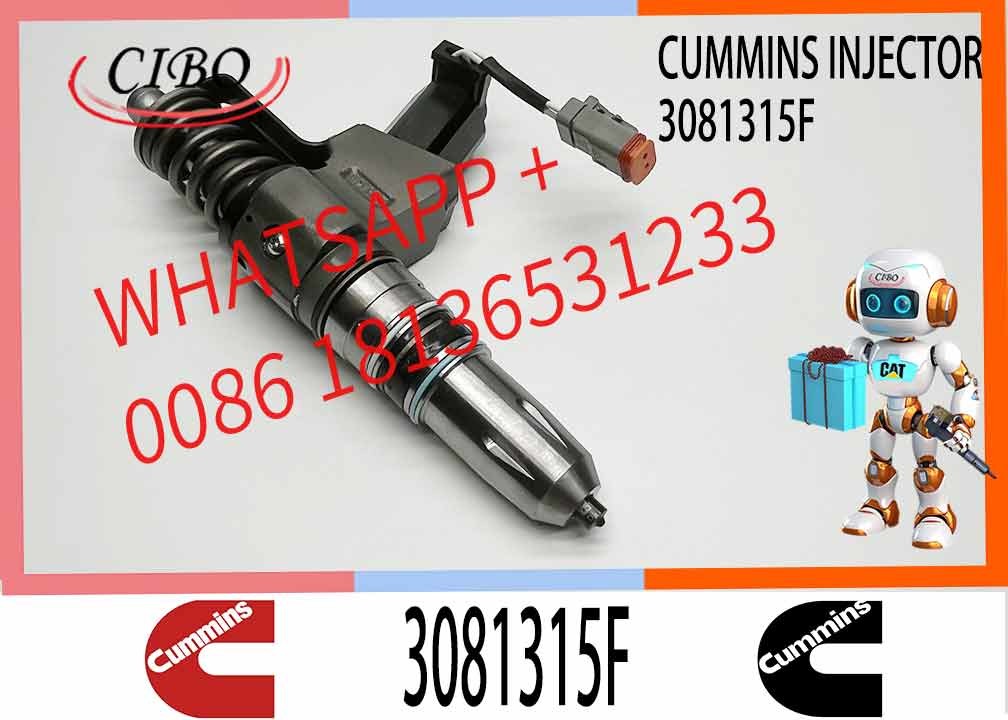 Auto Parts Common Rail Diesel Fuel Injector 3411760 3081315F 3409975 For Cummins QSN14 N14