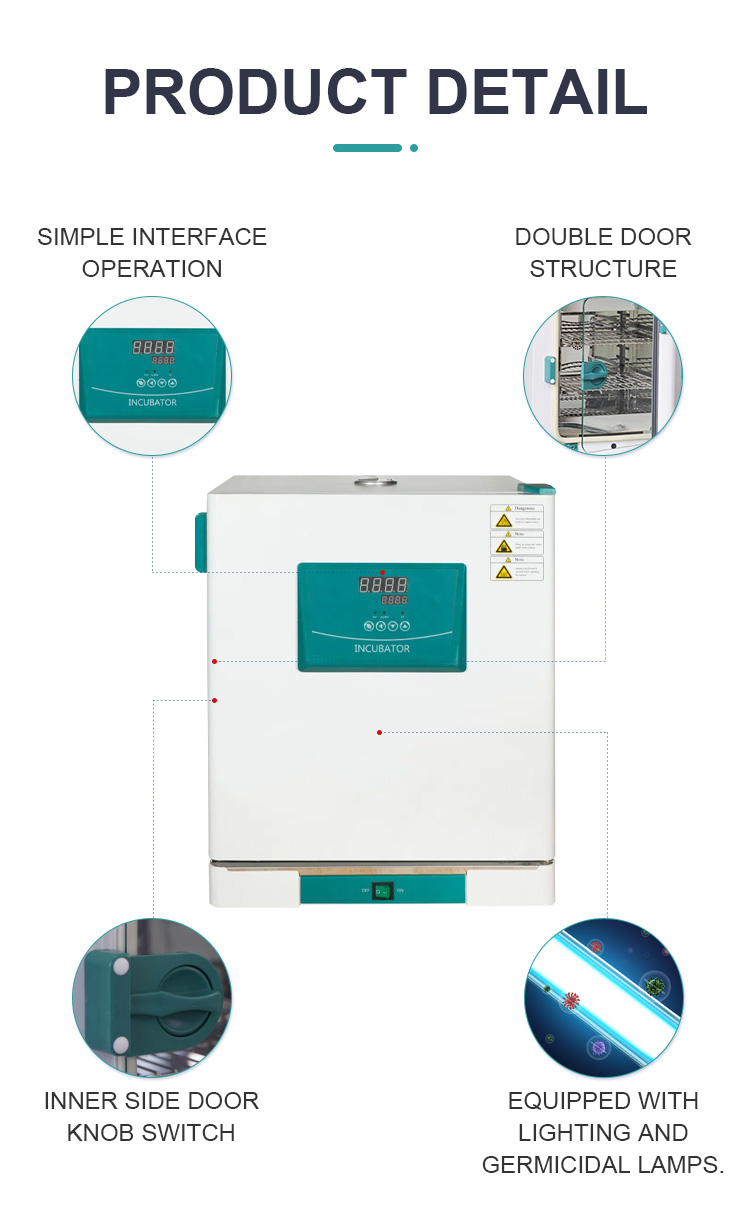65L Constant Temperature Microbiology Laboratory Incubator with 575*480*720 Exterior Size