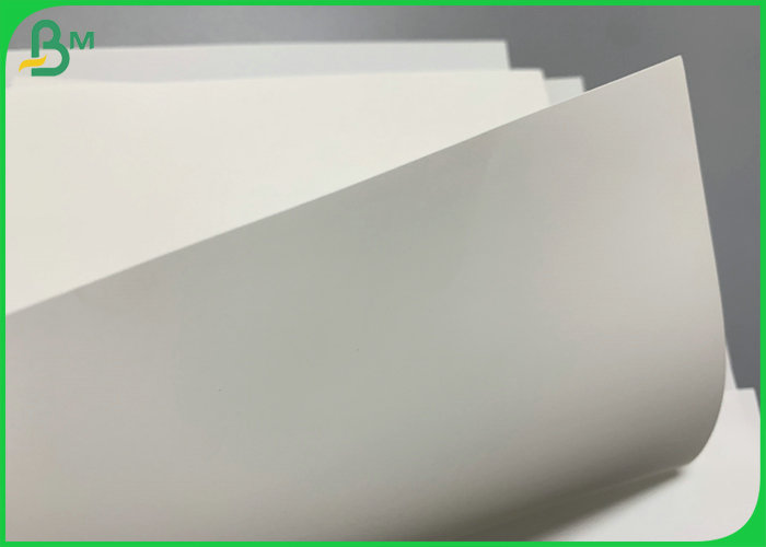 168g 240g Woodfree Printable Stone Paper Tear Resistant 787mm x 1000m Jumbo Roll