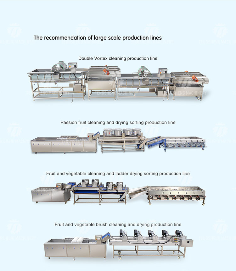 Vegetables and Fruits Bubble Cleaning Vibration Air Drying Machine Production Line