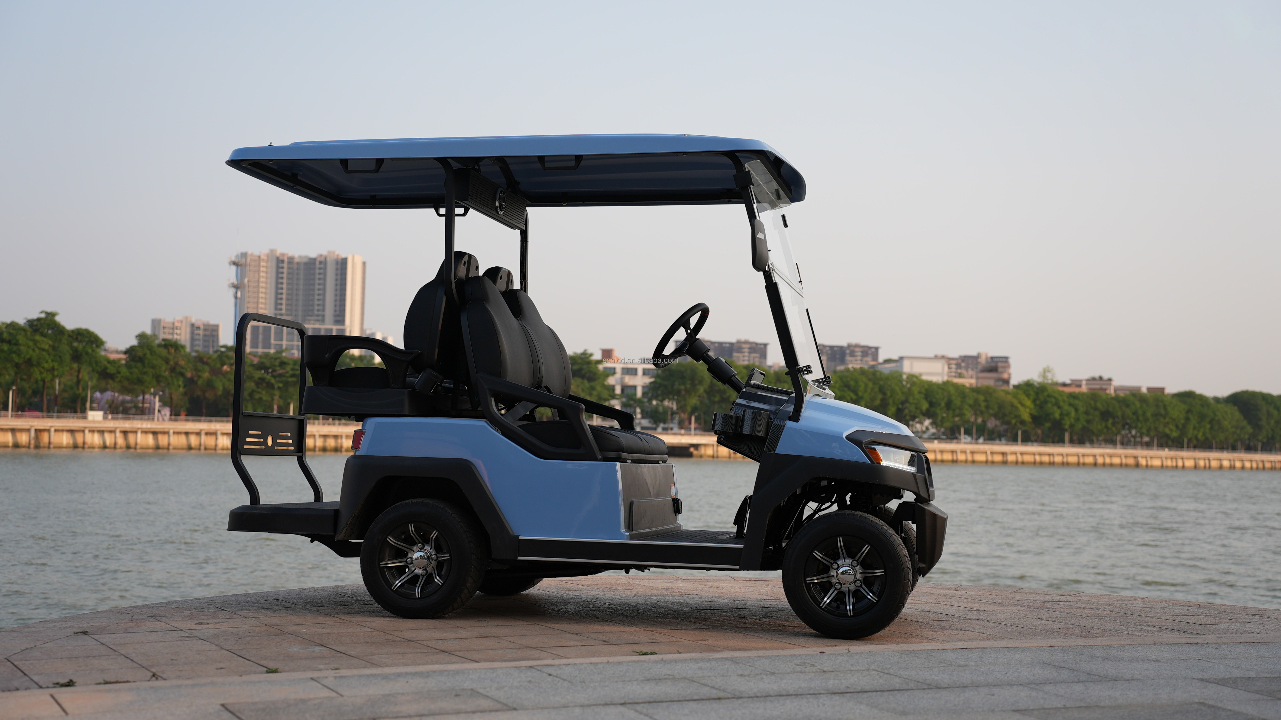 2 4 6 Seat Electric Lithium Battery Sightseeing Golf Cart Golf Buggy Car with DOT Comfortable and Spacious