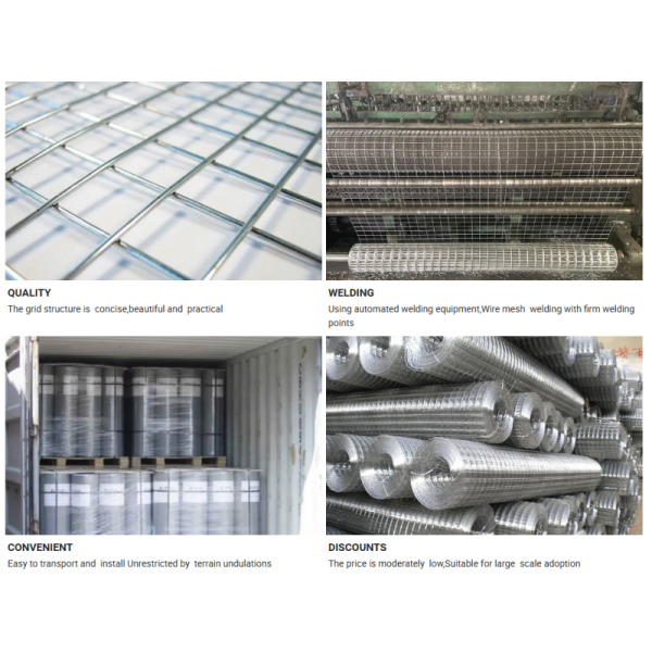 Welded Wire Mesh Low Carbon Steel Iron PVC Coated Hot Dipped Galvanized