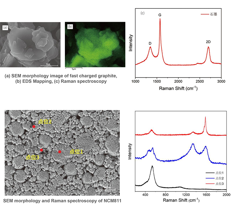 Opto Edu A63.7140A63.7160 2000000x Schottky Field Emission Scanning Electron Microscope