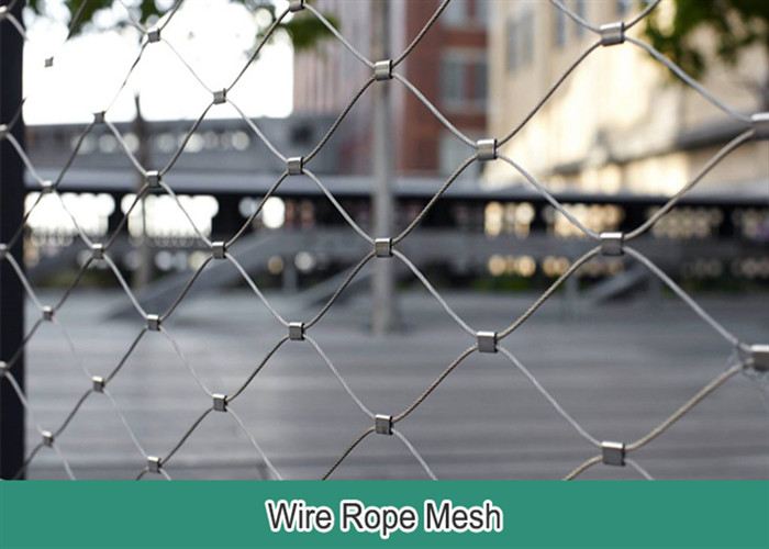 SS 316 Green Plant Climbing Trellis Wall Mesh / 1.5mm Stainless Steel Wire Rope Mesh 100x100mm