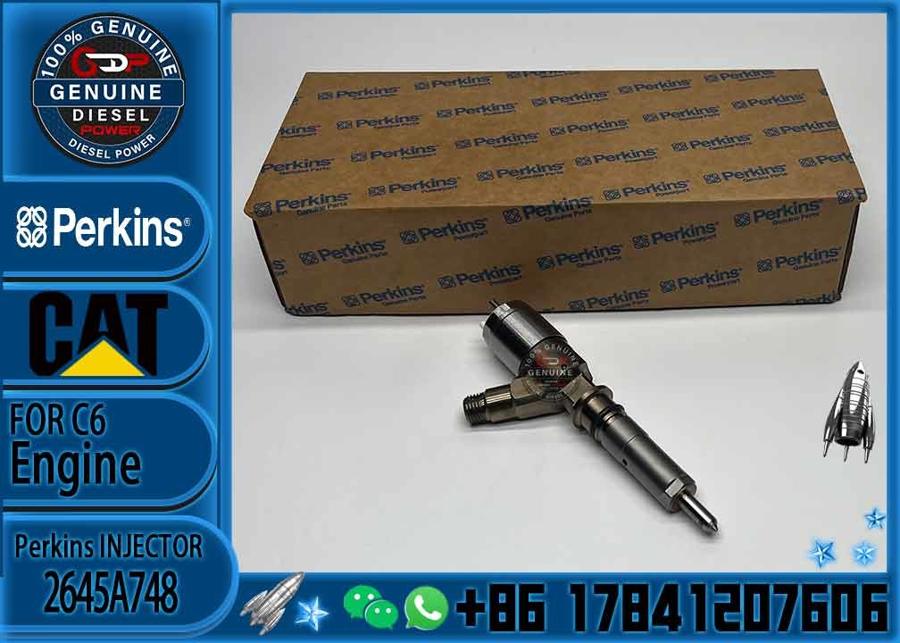 Common rail injector fuel injecto 10R-7675 2645A748 2645A743 320-0670 for C4.2 C6.4 Excavator C4.2 C6.4 320D