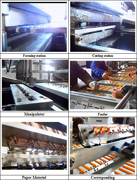 Stainless Steel Automatic High Speed Blister Packing Machine For Daily Necessities