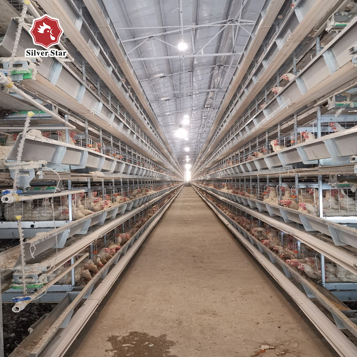 H Type Automatic Egg Layer Chicken Farm Cage Cold Galvanized