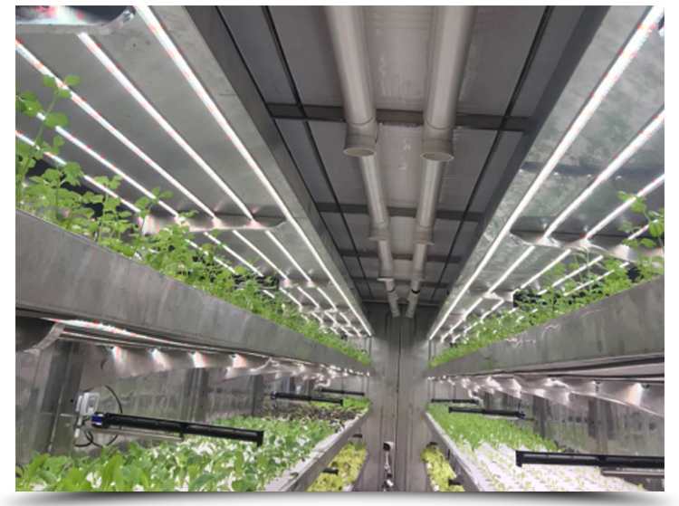 LED Light Indoor Hydroponic Farm Container with Climate Control