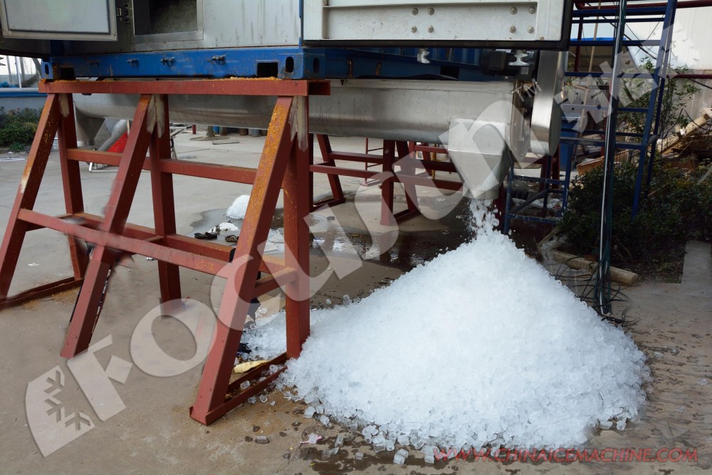 20ft Containerized Automatic Rake Ice Storage for Tube Ice Versatile and Customizable