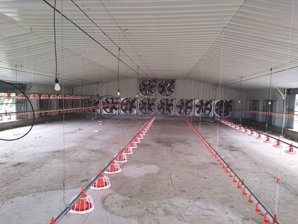 Galvanized Steel Structure Poultry House GB Standard