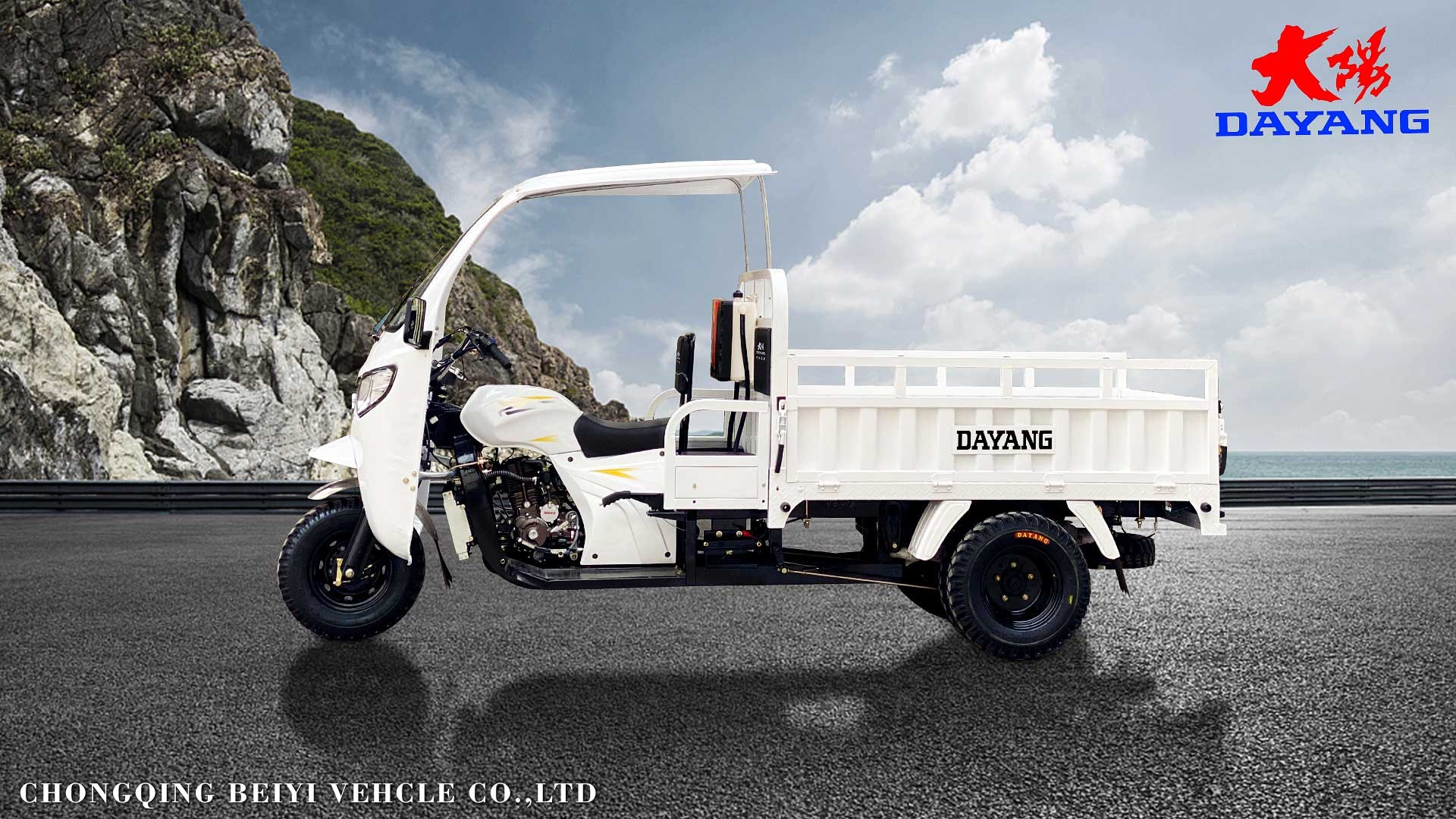 Front disc Rear drum brake system cargo tricycle for affordable delivery in Singapore