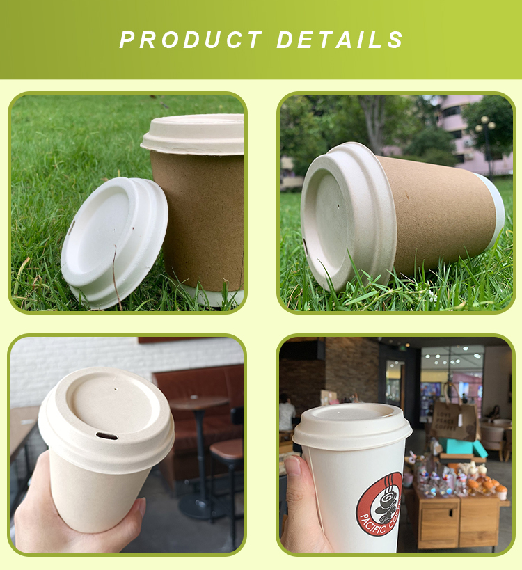 8oz 12oz 16oz 24oz Sugarcane Bagasse Disposable Coffee Cups With Lids