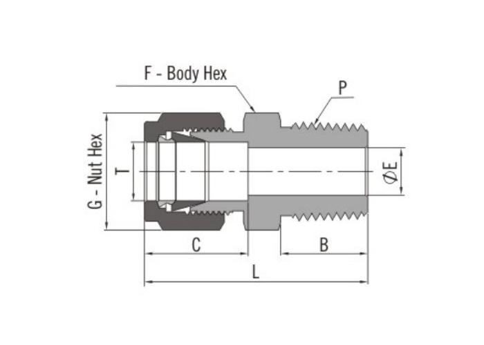 Fractional Tube NPT Threaded Compression Tube Fittings Straight Male Connectors