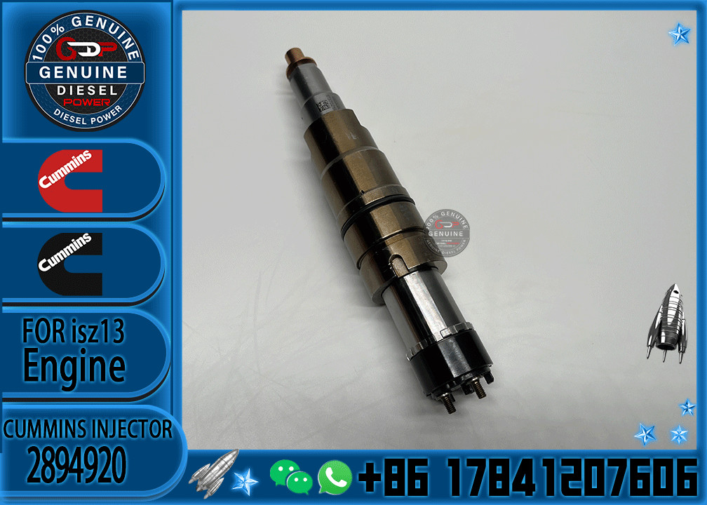 factory fuel injector assembly CRDI 2872544 2872405 2894920 4307217 5491721 4326959 for Cummins Scania XPI injector
