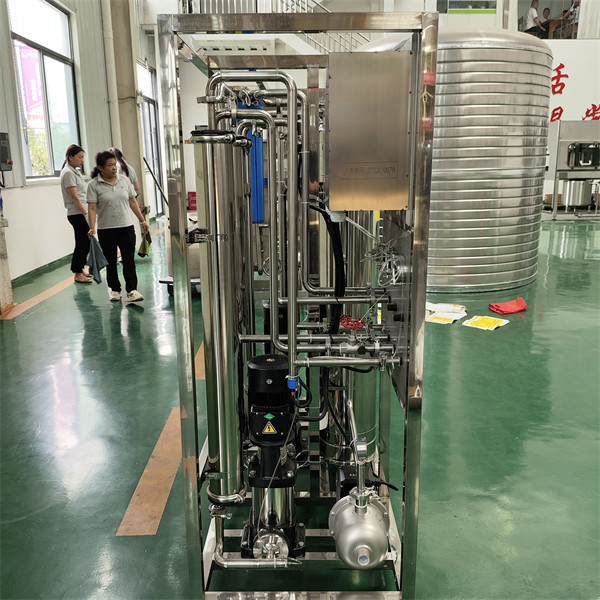 Compact 0.25L/H RO Industrial Water Treatment Reverse Osmosis Equipment for Small Spaces