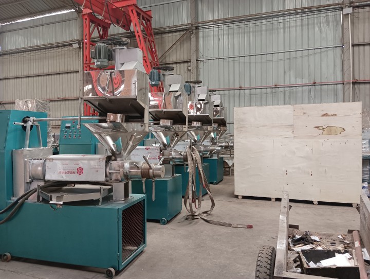 6YL-100 Automatic Oil Press Machine With Digital Temperature Control