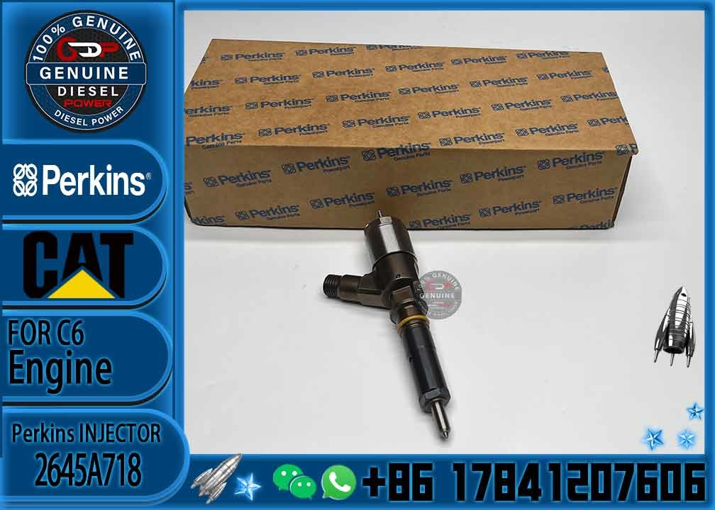 Brand New For 323D C6.6 Excavator Engine Common Diesel Engine Fuel Rail Injector 292-3780 2645A718