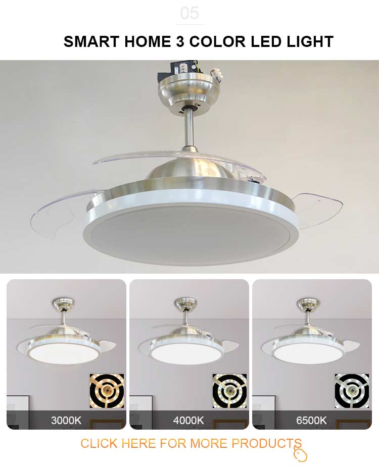 Energy Saving Silent Remote Control LED Ceiling Fan Light with 2- Metal Lamp Body
