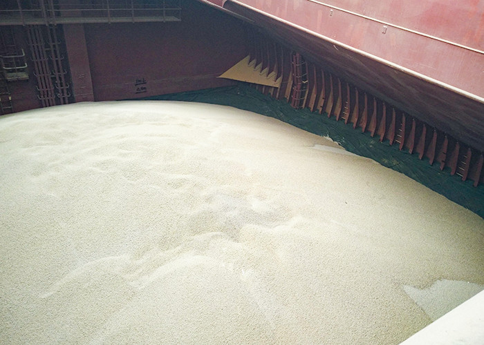 Eel / Shrimp / Salmon Feedstuff Wheat Protein Pellet , Mrine Shrimp Feed