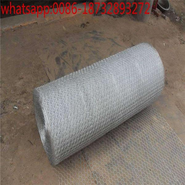 Quality PVC poultry netting/large chicken wire/chicken fence height/ chicken wire panels/4 foot chicken wire/wire mesh chicken for sale