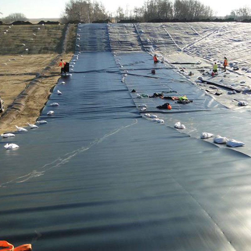 HDPE High Definition Polyethylene Liner Industrial Design Style for Fish and Shrimp Farm Ponds Balck Waterproof