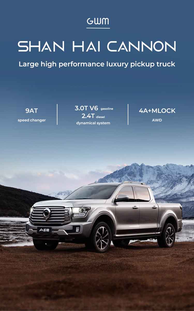 shanhaipao pickup