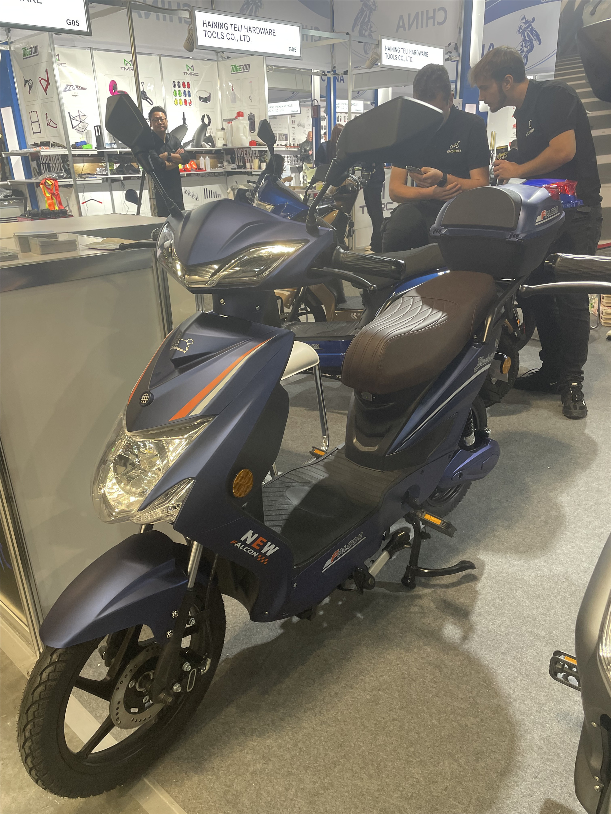 48V 800W High Power Electric Moped Bike EEC Certification For Unisex Riders