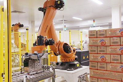 Payload 120kg Service Mode Robot Welding Cell with Online Support
