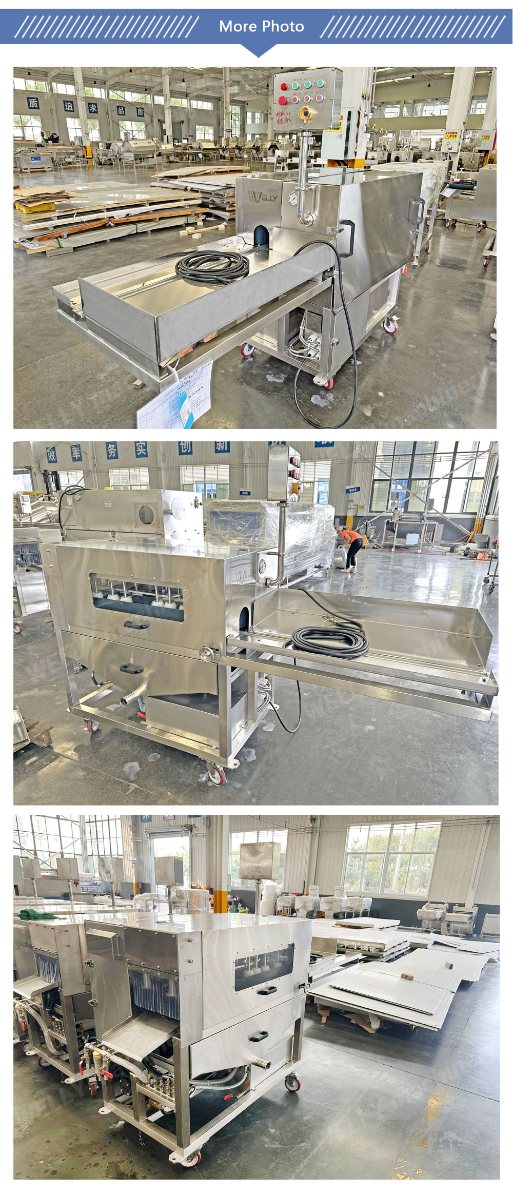 High Capacity Fish Gutting Machine for Carp Grass Carp Silver Carp Tilapia Trout Processing