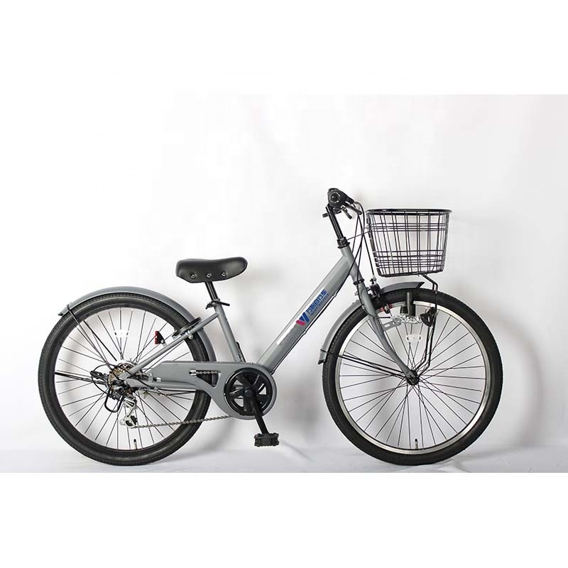 Variable Speed 22 Inch Student Bike For 11 12 Year Olds