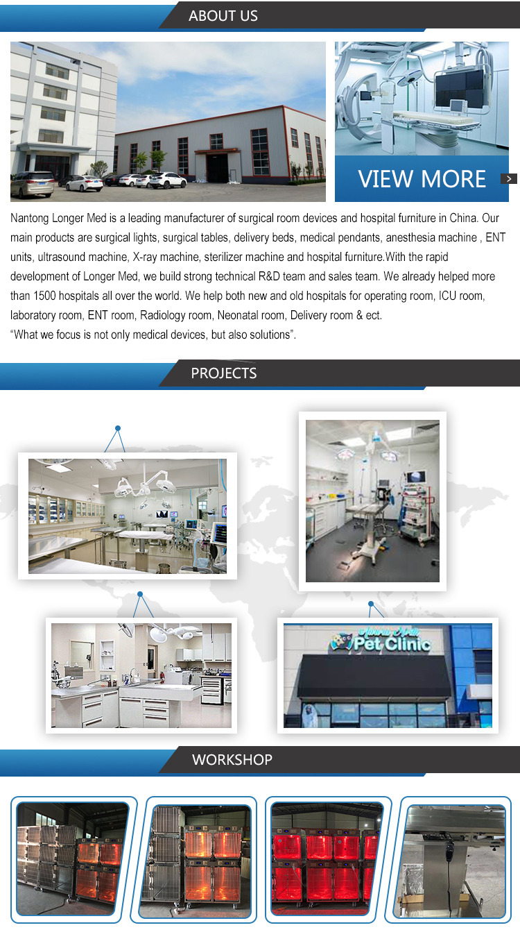 Hot sale X ray veterinary