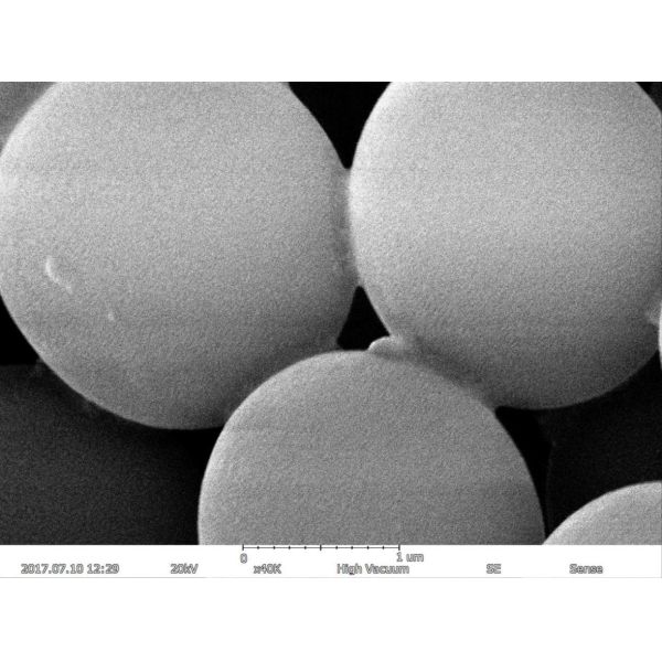 Magnification Max 150000X Scanning Electron Microscope 5nm Resolution EDS BSE