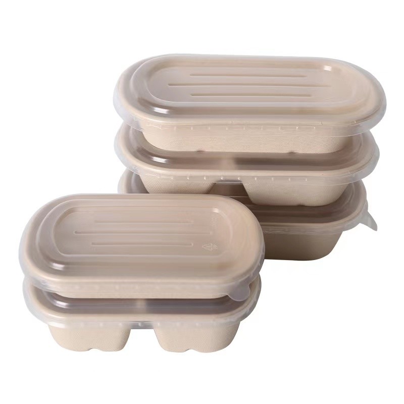 Biodegradable Paper Pulp Lunch Container, Sugarcane Bagasse Food Container, Disposable Tableware