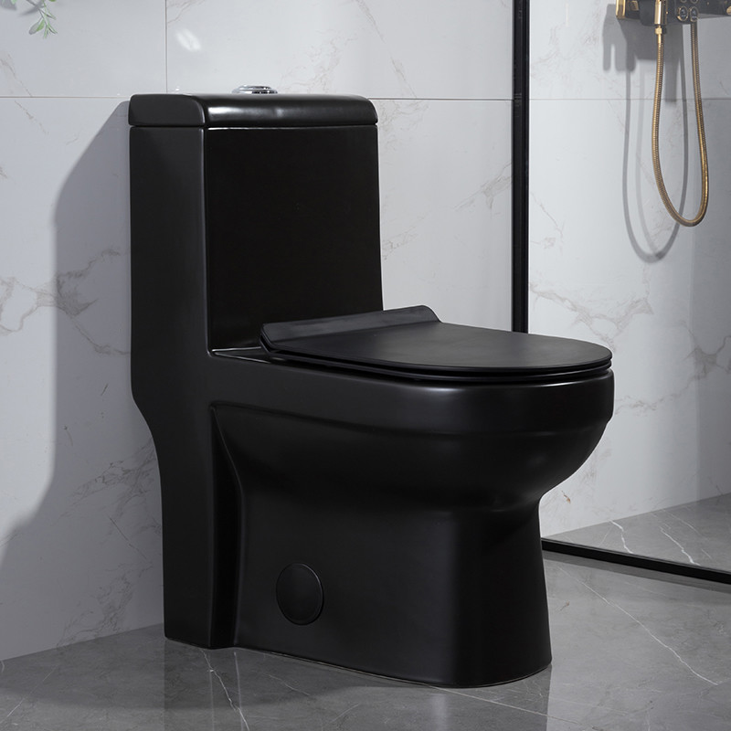 Modern Bathrooms Toilets Dual-Flush Elongated 1-Piece Toilet With Soft-Closing Seat