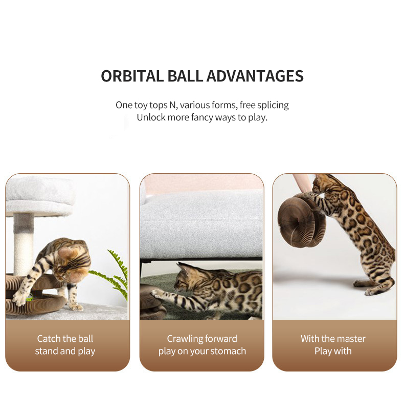Foldable Magic Organ Cat Scratching Board Interactive Magic Organ Cat Scratcher