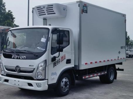 China Brand 4X2 Foton Modified Freezer Truck For Cold Freeze Seafood Vegetables Meat