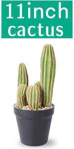 Artificial Cactus