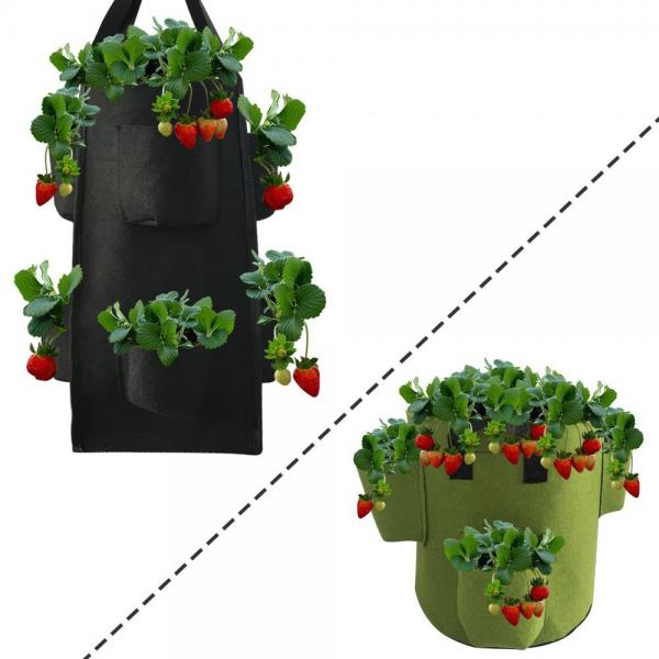Quality 38L Quadrate Strawberry Grow Bags for sale