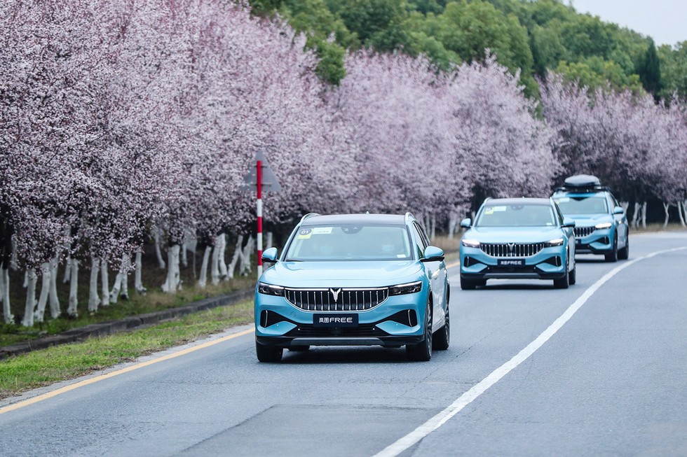 Luxury Energy Vehicles High Speed Mpv Dongfeng Voyah Free Pure Electric EV SUV Four Wheel Drive Electric Car 4905*1950*1645mm