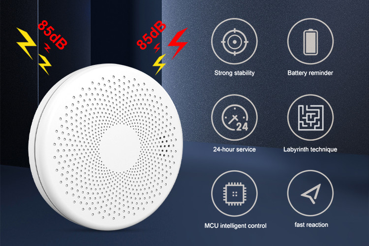 Standalone Smoke Detector Fire Battery Operated High Sensitivity Smoke Alarm And Carbon Monoxide Detector