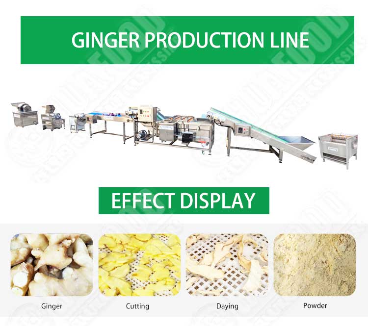 Lotus Root Spray Dried Ginger Powder Machine Dezhou