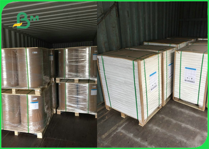 FSC 30gsm 35gsm 40gsm 45gsm 50gsm MG White Kraft Paper Roll 100% Food Grade
