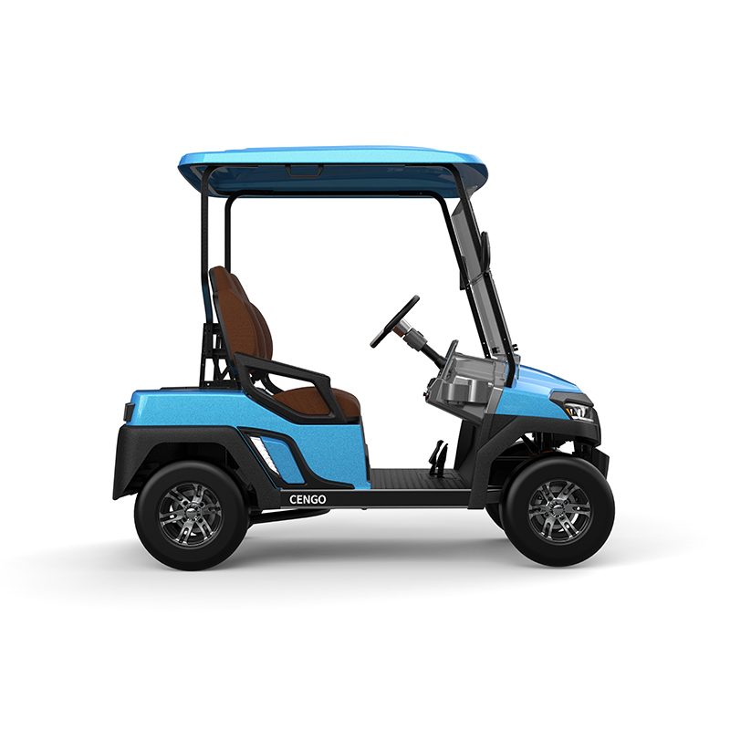 Affordable 2 Seat Electric Golf Buggy Perfect for Family and Hunting on the Beach