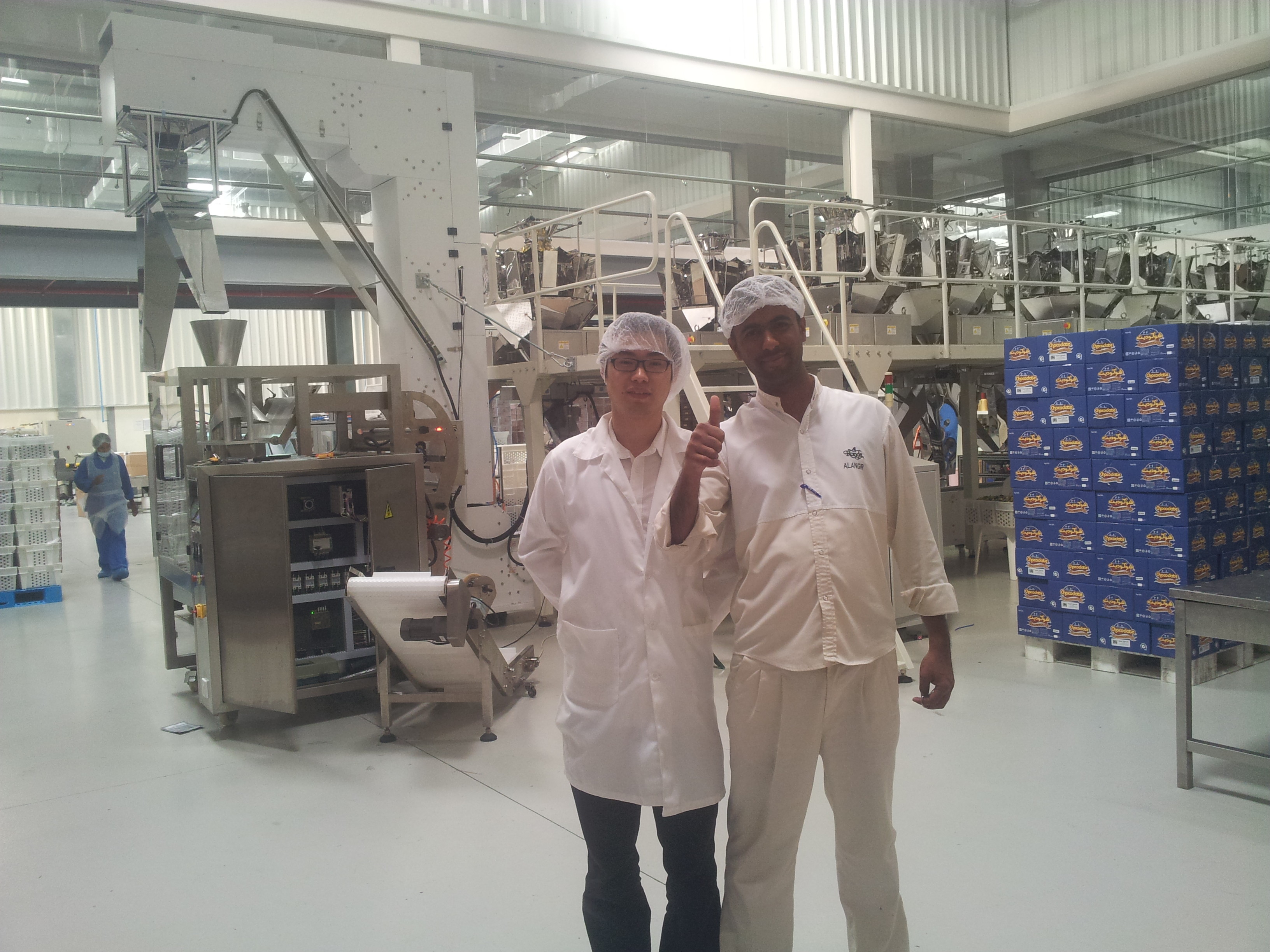 0.1g Automatic Granule Packing Machine