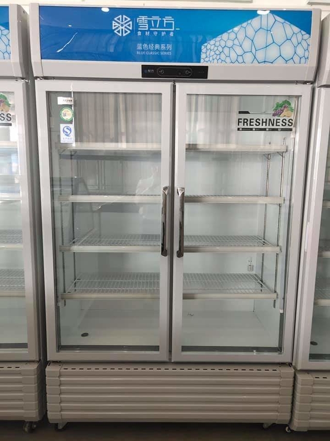 Double glass doors Economic display type refrigerate and preserve freshness beer cabinet for drinks 5