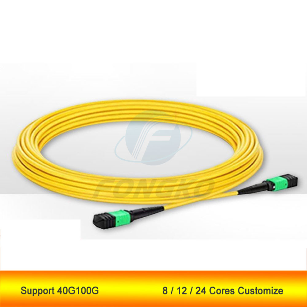 MPO APC singlemode 1 meter 10G fiber jumper 8 12 24core 40G100G 1310 1550NM support customization