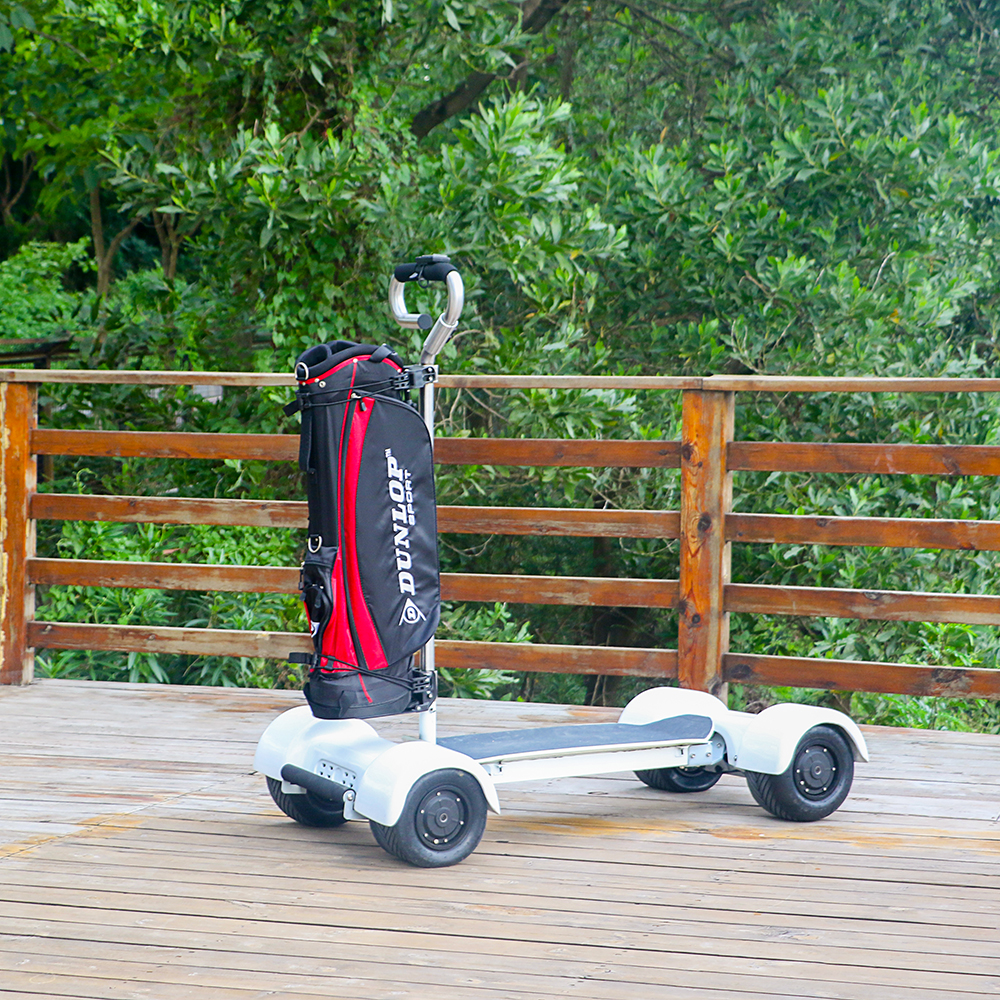 10 Inch Four Wheels Powerful Electric Scooter Electric Golf Scooter 1000w Dual Motor