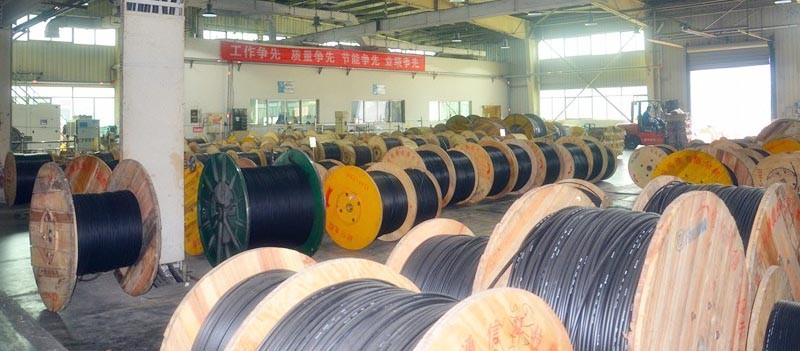 CAT5E UTP External Steel Wired Armoured Bulk Network Cable 4 Pairs 8 Pairs
