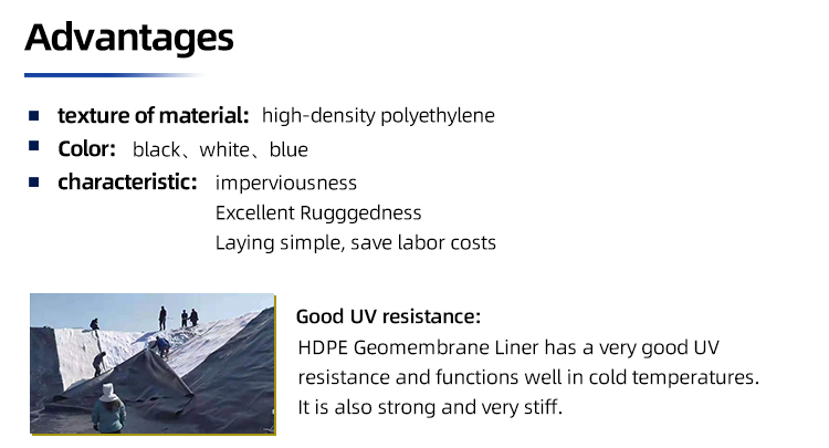 Reservoir Fish Pond Dock Engineering HDPE Geomembrane Linner with 0.2mm-3mm Thickness
